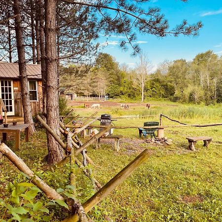 D & K Ranch “Max'S Cabin” אינטרלאקן מראה חיצוני תמונה