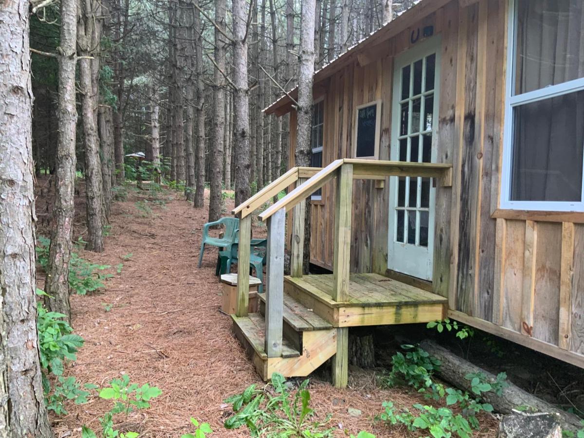 D & K Ranch “Max'S Cabin” אינטרלאקן מראה חיצוני תמונה